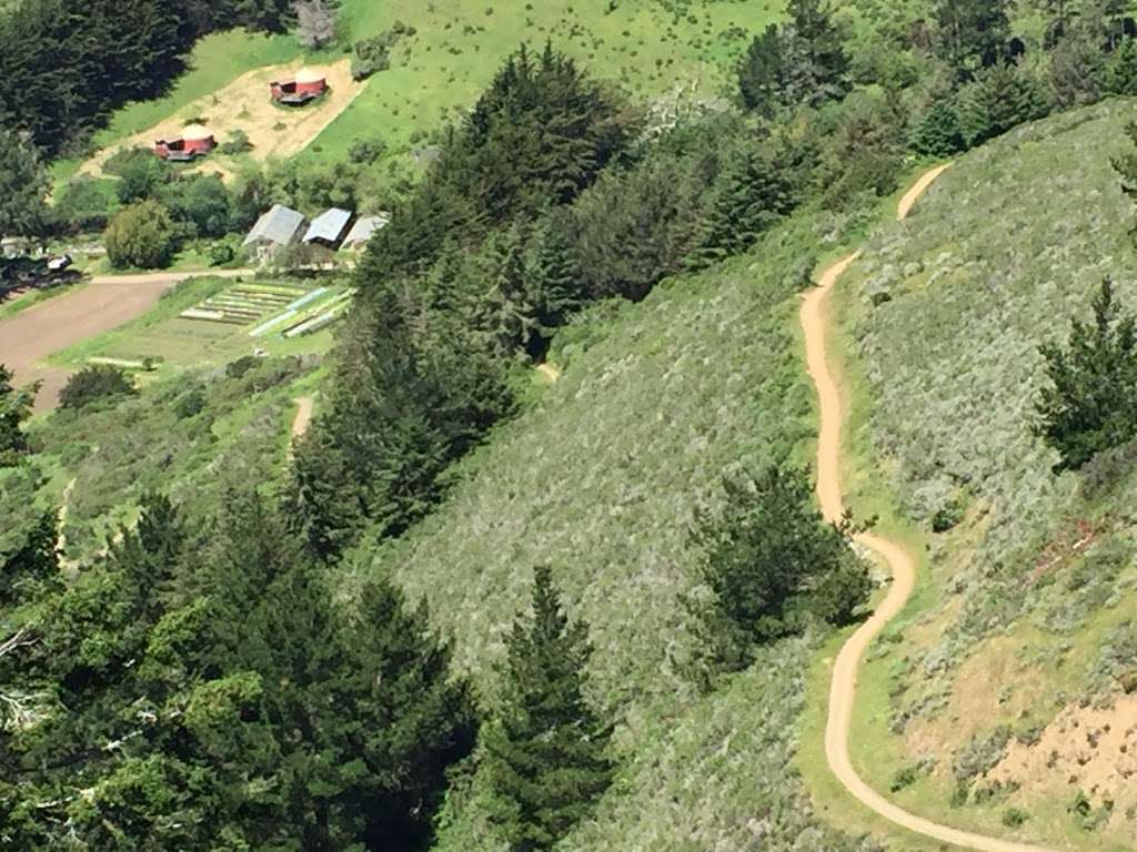 Hike Meeting Point | Coastal Trail, Muir Beach, CA 94965