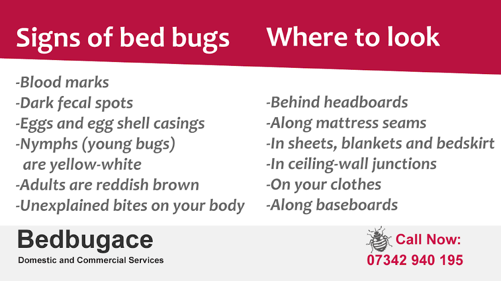 Bedbugace | 52 Pound Rd, Banstead SM7 2HU, UK | Phone: 07342 940195