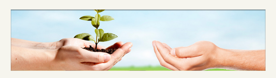 Veristat | 118 Turnpike Rd Suite 200, Southborough, MA 01772, USA | Phone: (508) 429-7340