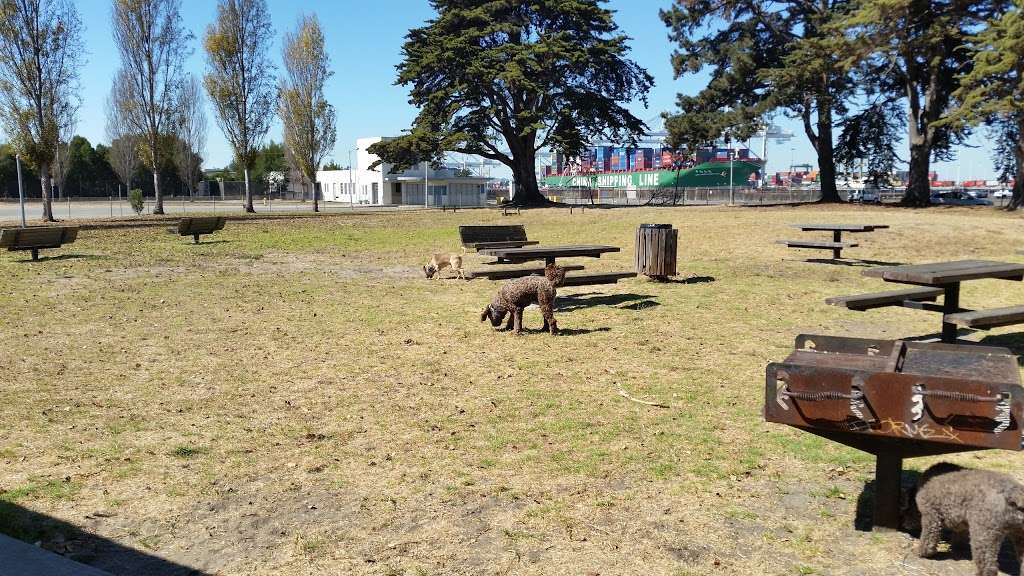 Main Street Dog Park | 2990 Main St, Alameda, CA 94501 | Phone: (510) 747-4700