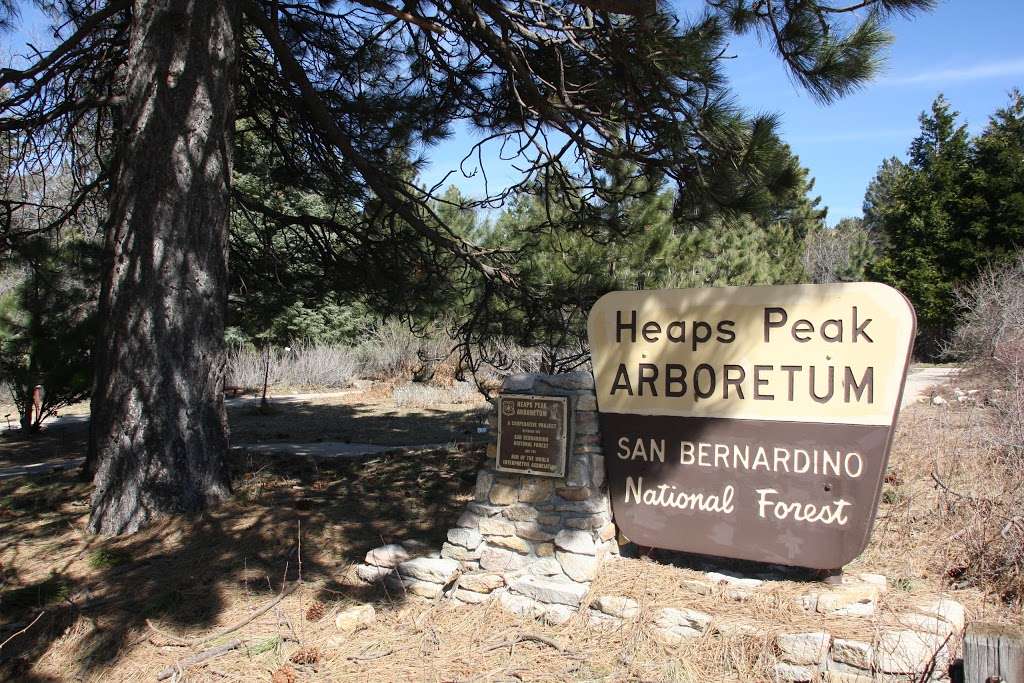 Heaps Peak Arboretum Day Use Area | 29358 Rim of the World Hwy #18, Skyforest, CA 92385, USA | Phone: (909) 382-2790