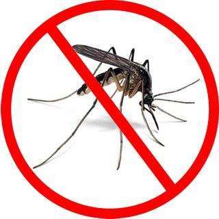 Mosquito Enemy | 334 Main St, West Newbury, MA 01985, USA | Phone: (978) 363-2222