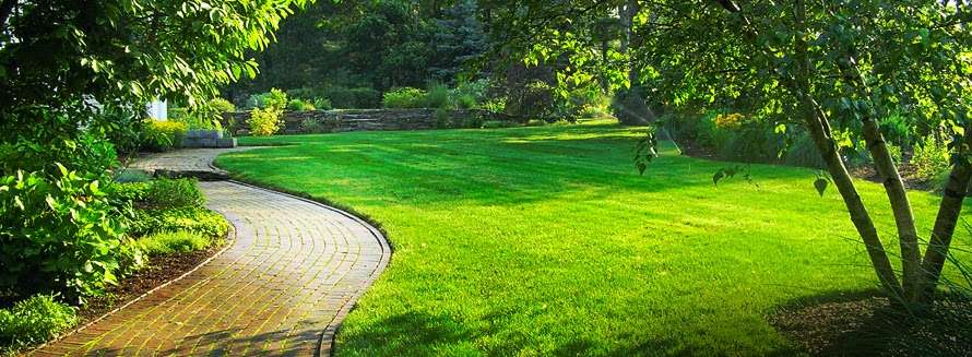 Nelson Landscaping & Garden Center | 664 S Main St, Randolph, MA 02368, USA | Phone: (781) 963-4114