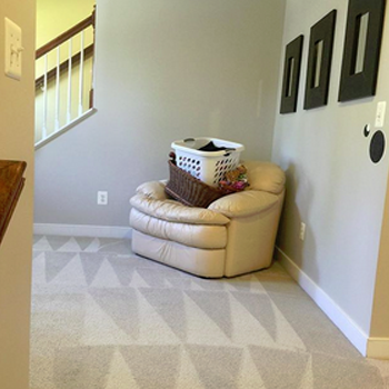 Mannys Carpet Cleaning & Repairs | 11346 Hudson Hills Ln, Riverview, FL 33579, USA | Phone: (813) 358-0345