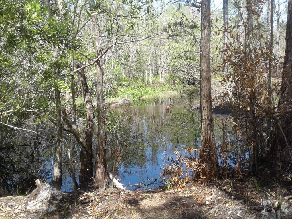 Brooker Creek Headwaters Nature Preserve | 18102 Ramblewood Rd, Lutz, FL 33558, USA | Phone: (813) 264-8513
