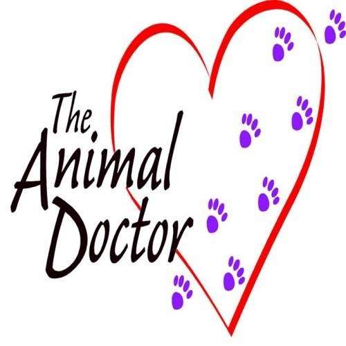 The Animal Doctor | 10195 Telephone Rd, Ventura, CA 93004, USA | Phone: (805) 647-8596