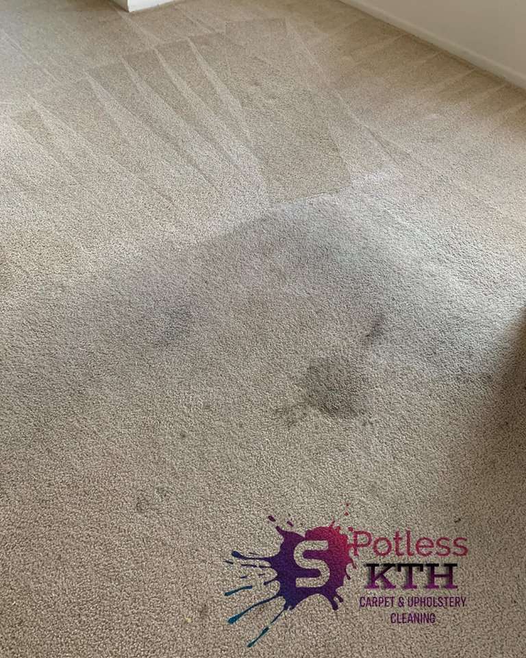 SPOTLESS KTH Carpet & Upholstery Cleaning Services | San Bernardino, CA, USA | Phone: (213) 433-8646