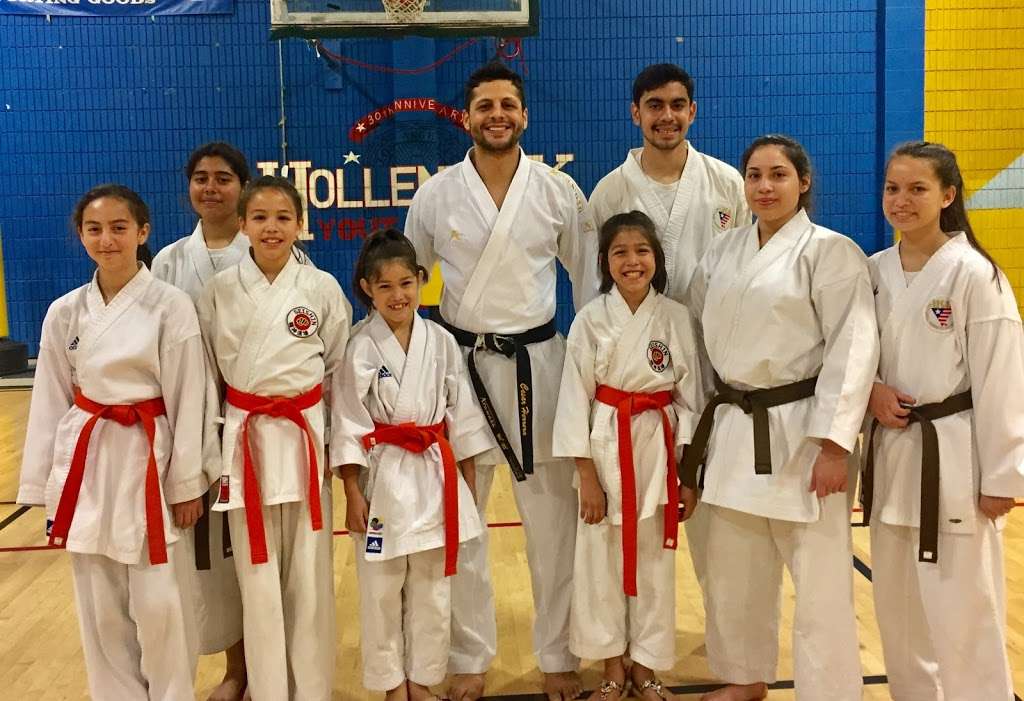 Seishin Karate Dojo | 4400 1/2 N FigueroaSt, Los Angeles, CA 90065 | Phone: (323) 919-7313