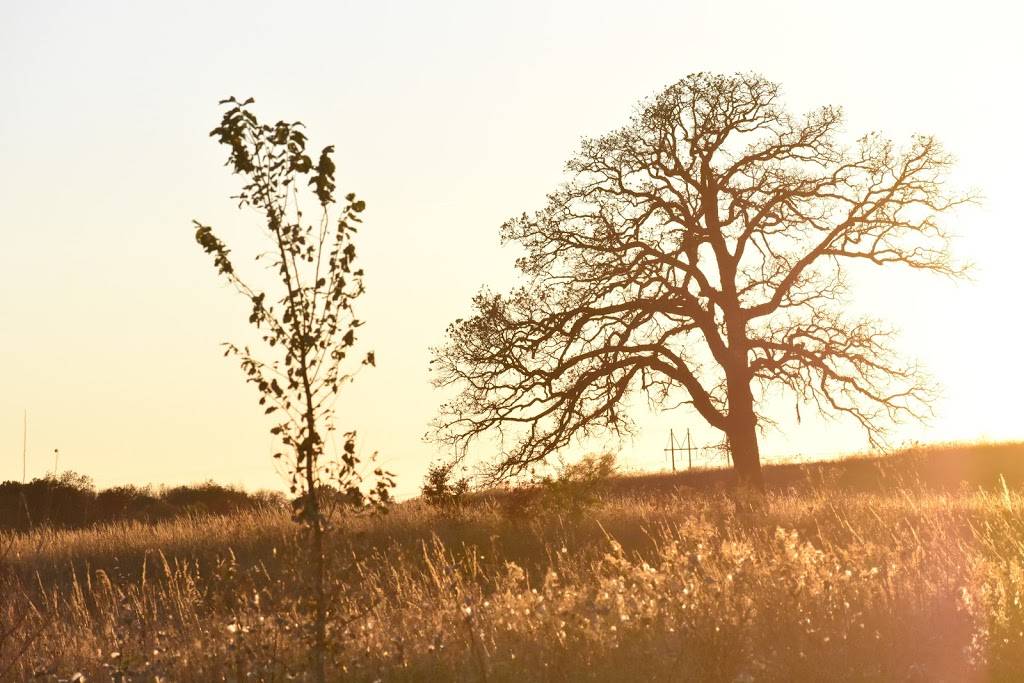 Dorthy Carnes Trails | Banker Rd, Fort Atkinson, WI 53538, USA