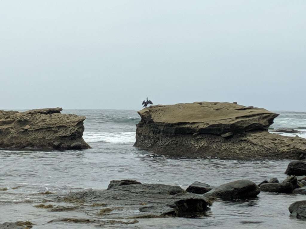 Viewpoint | 5990 W Camino De La Costa, La Jolla, CA 92037, USA