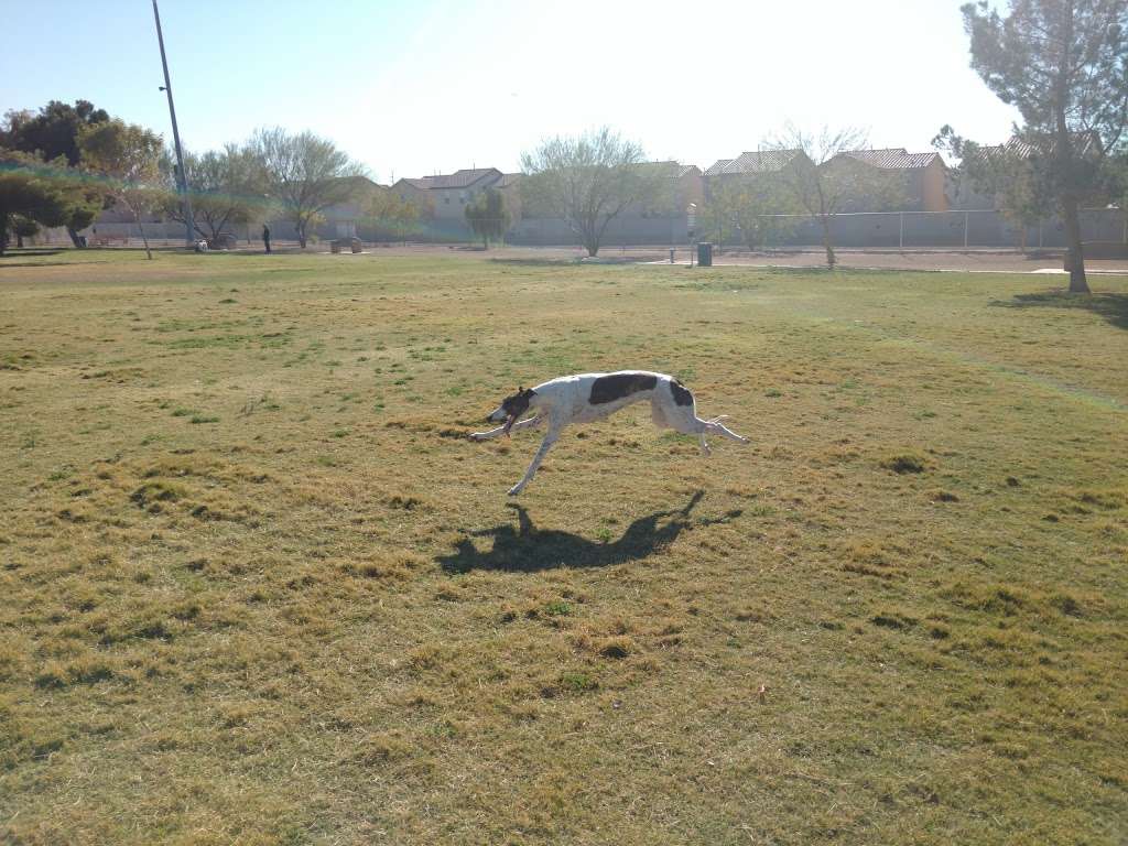 Clark County Dog Fanciers Park | 5800 E. Flamingo Rd, Las Vegas, NV 89122, USA | Phone: (702) 455-8200