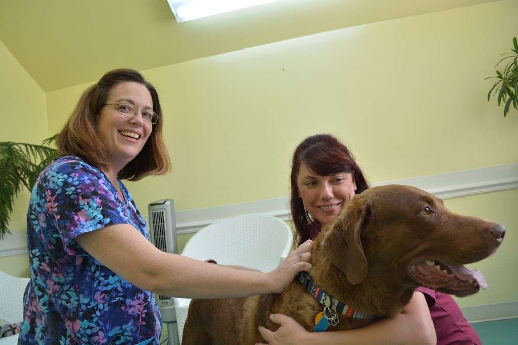 Spotsylvania Animal Hospital | 9133 Courthouse Rd, Spotsylvania Courthouse, VA 22553, USA | Phone: (540) 582-6370