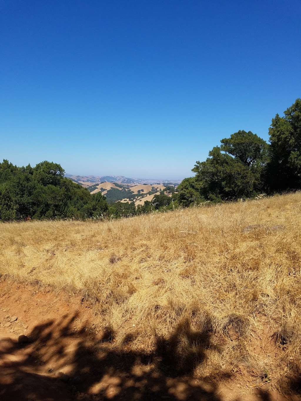 Mount Burdell Preserve | Novato, CA 94945 | Phone: (415) 473-4381