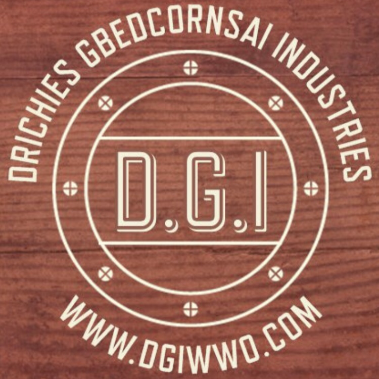 DRICHIES GBEDCORNSAI INDUSTRIES | 13518 Horace Harding Expy, Flushing, NY 11367, USA | Phone: (718) 883-9324