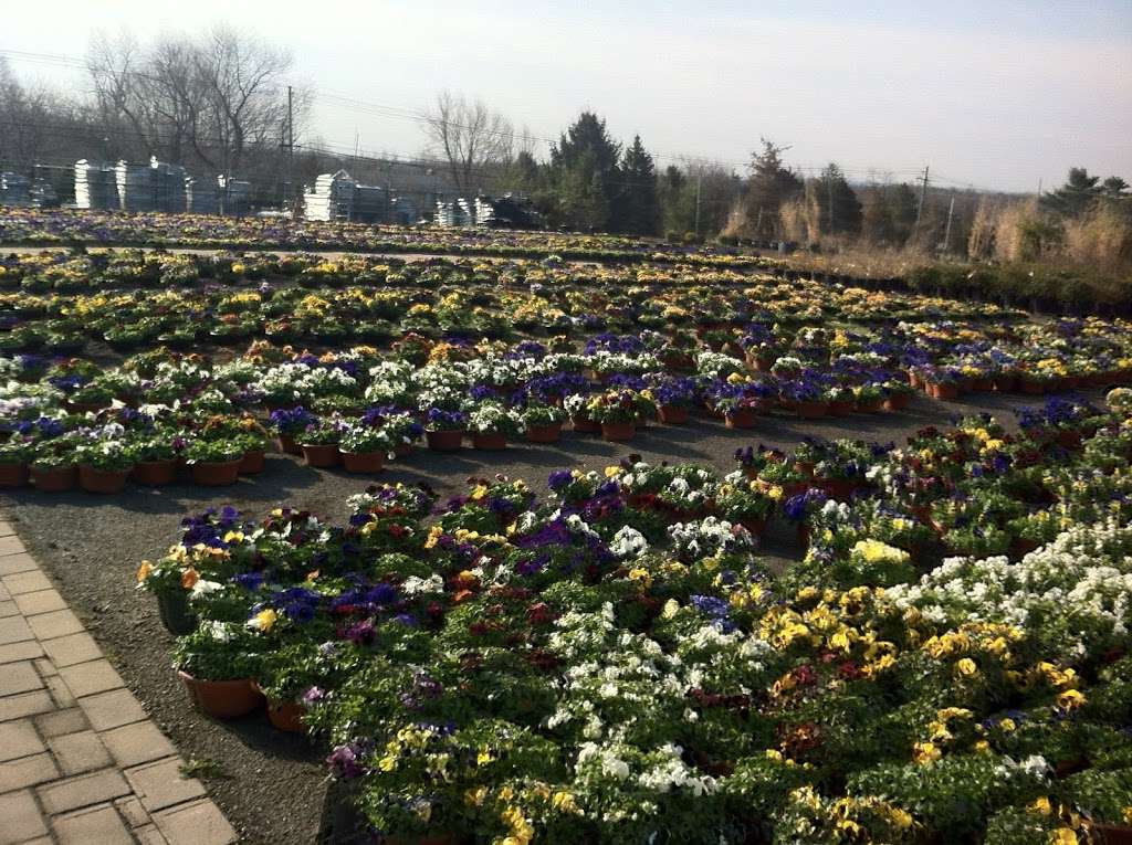 Hionis Greenhouses | 4 Coddington Rd, Whitehouse Station, NJ 08889, USA | Phone: (908) 534-7710