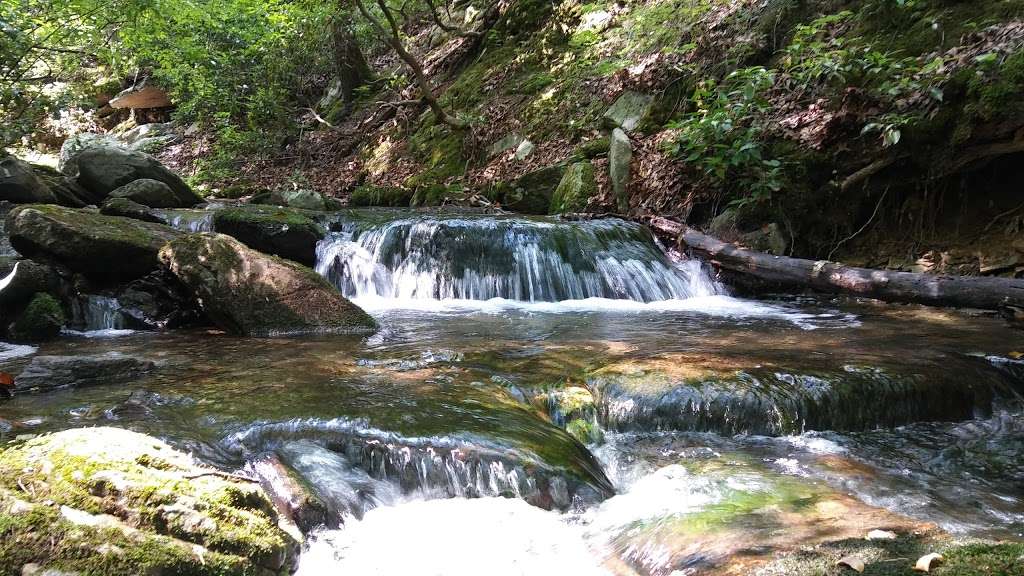 Frederick Municipal Forest | Frederick, MD 21702, USA