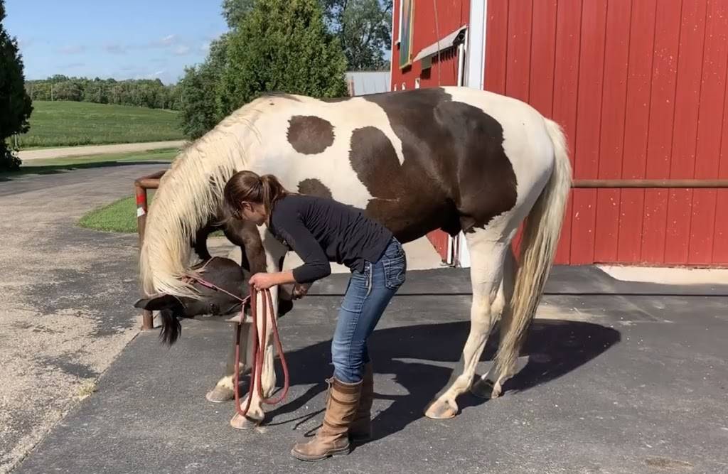 Reaching Strides Equine Rehabilitation | N8294 County Hwy E, Brooklyn, WI 53521, USA | Phone: (608) 513-8884