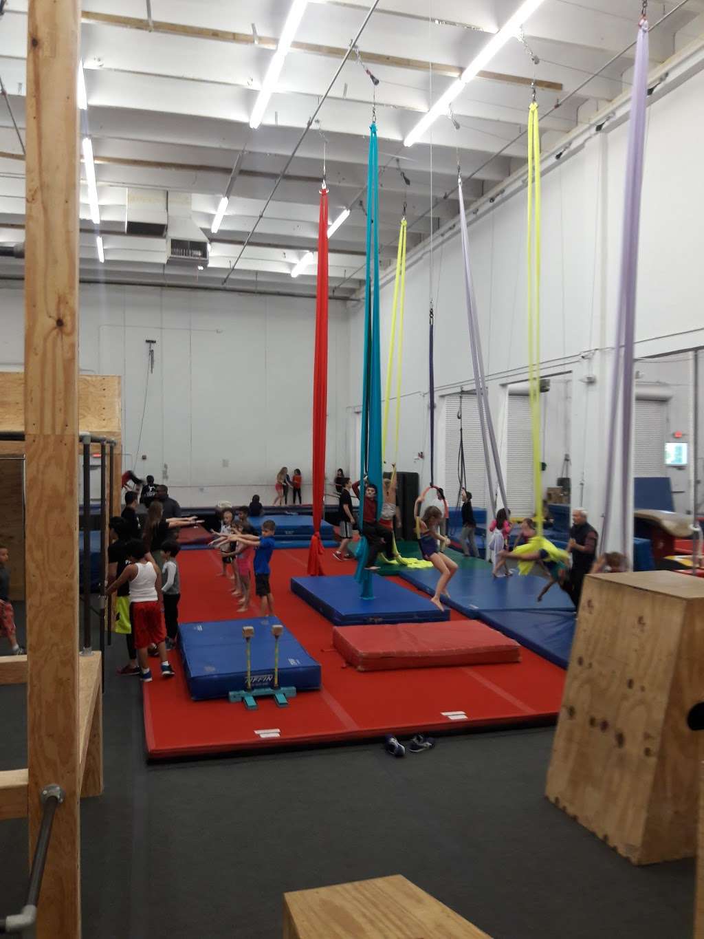 Nova Gymnastics | 2280 Southwest 71st Terrace, Davie, FL 33317, USA | Phone: (954) 476-3154