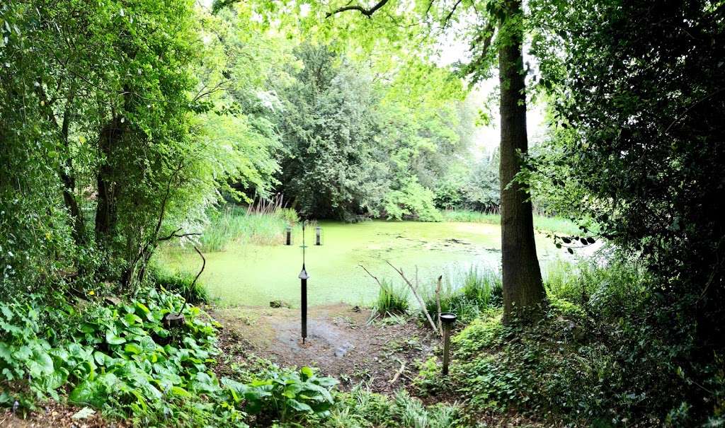 Bird Hide | Great Warley, Brentwood CM13 3HU, UK