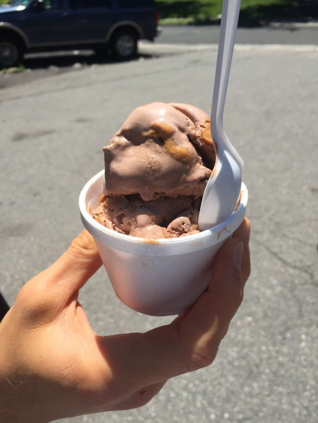 Van Dyks Homemade Ice Cream | 145 Ackerman Ave, Ridgewood, NJ 07450 | Phone: (201) 444-1429