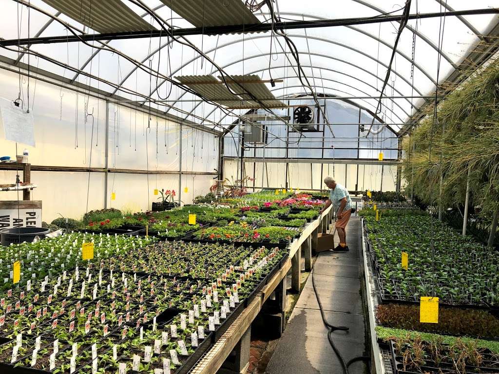 Braffords Greenhouses | 217 Old Airport Rd, Concord, NC 28025, USA | Phone: (704) 782-1349