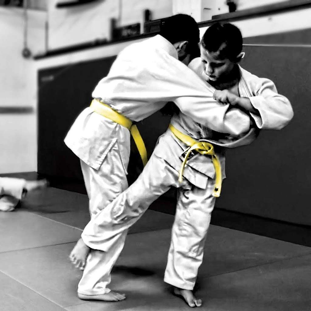 Yorkville Judo Club | 101 S Bridge St, Yorkville, IL 60560, USA | Phone: (630) 553-7228