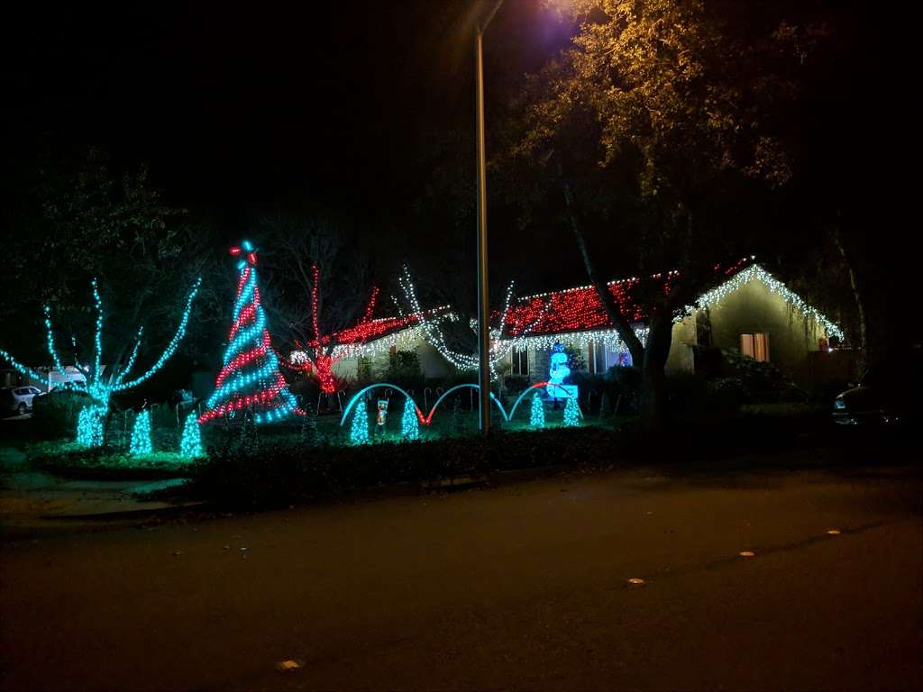 Morgans Magical Christmas Lights | 36811 Gum Ct, Newark, CA 94560, USA