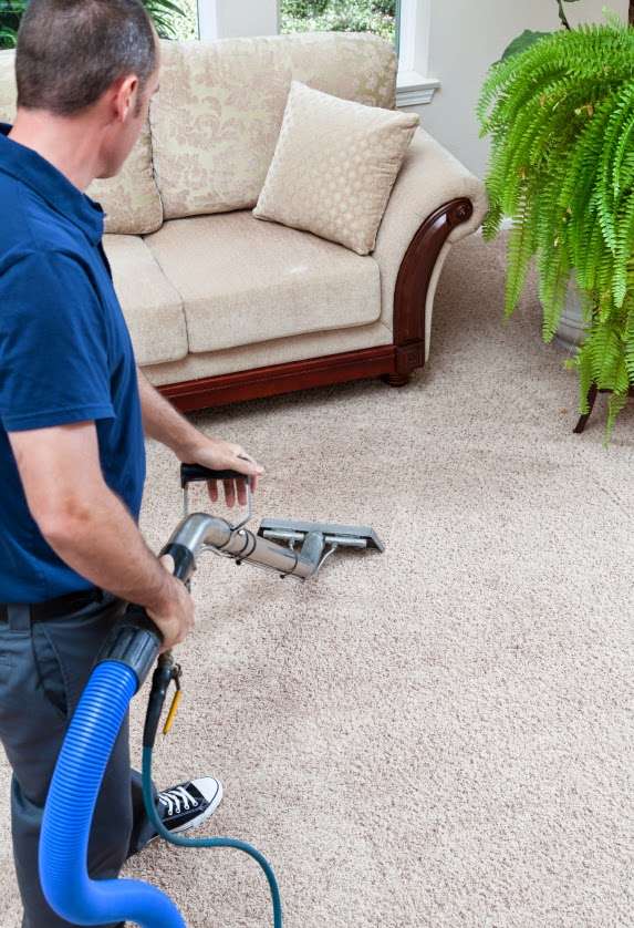 South Bay Carpet Cleaning | 509 N Elena Ave, Redondo Beach, CA 90277 | Phone: (310) 376-7655