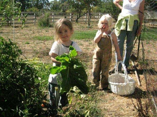 Wildflowers Nature School | 10570 Mill Station Rd, Sebastopol, CA 95472, USA | Phone: (707) 479-1052