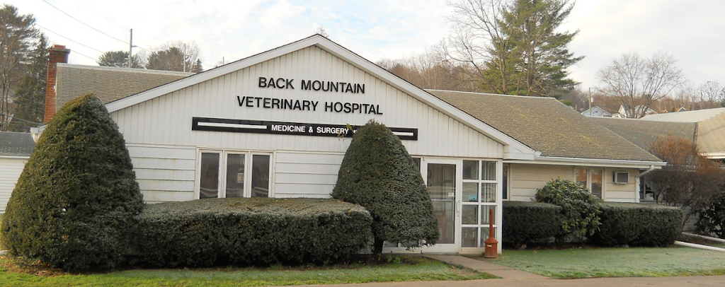 Back Mountain Veterinary Hospital | 105 W Center Hill Rd, Dallas, PA 18612, USA | Phone: (570) 675-3406