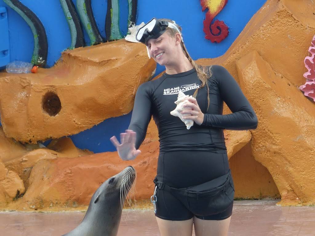 Golden Dome Sea Lion Show | Unnamed Road, Key Biscayne, FL 33149, USA