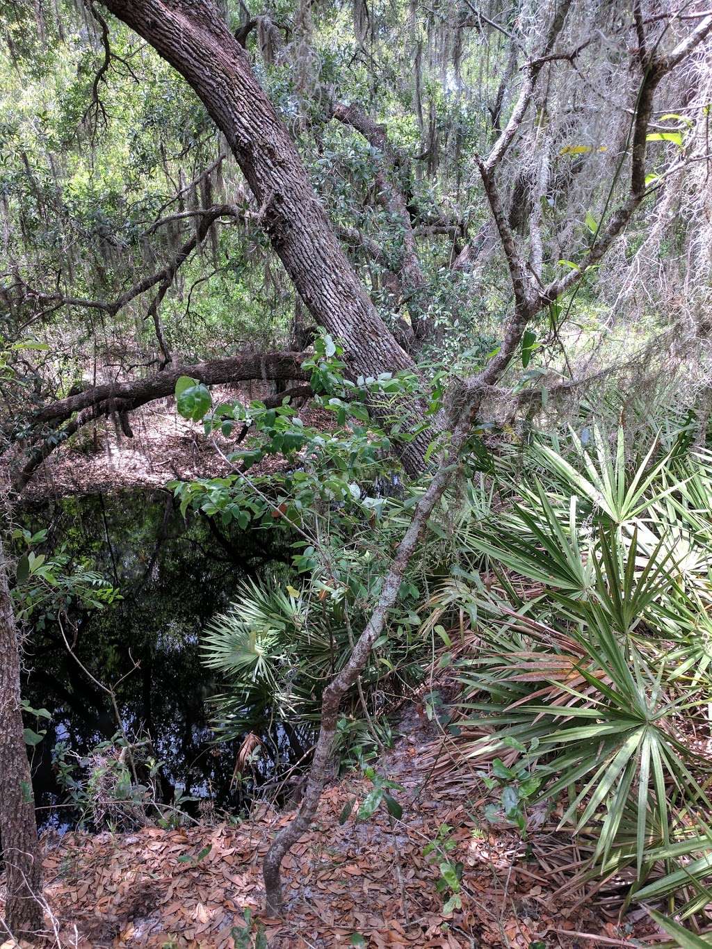 P.E.A.R. Park "Gateway" | 26701 US-27, Leesburg, FL 34748, USA | Phone: (352) 253-4950