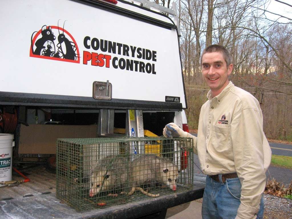 Countryside Pest Control | 280 Mountain Rd, Denver, PA 17517 | Phone: (717) 278-9918