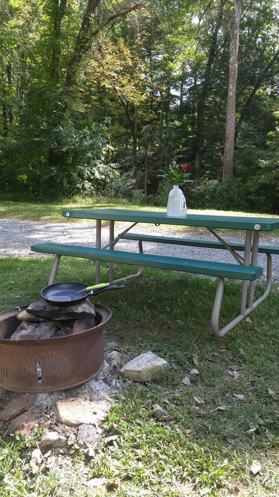 Brandywine Creek Campground | 1091 Creek Rd, Glenmoore, PA 19343, USA | Phone: (610) 942-9950