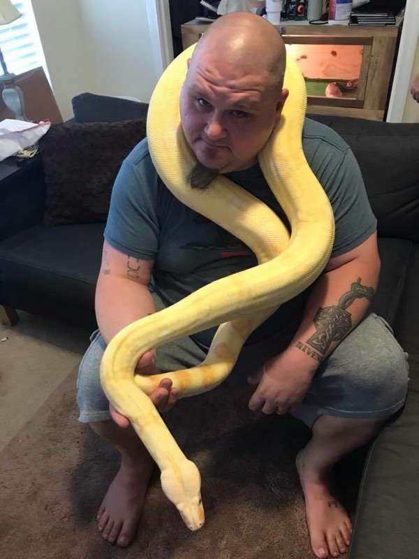 Griffin Avian & Exotic Veterinary Hospital | 2100 Lane St, Kannapolis, NC 28083, USA | Phone: (704) 932-8111