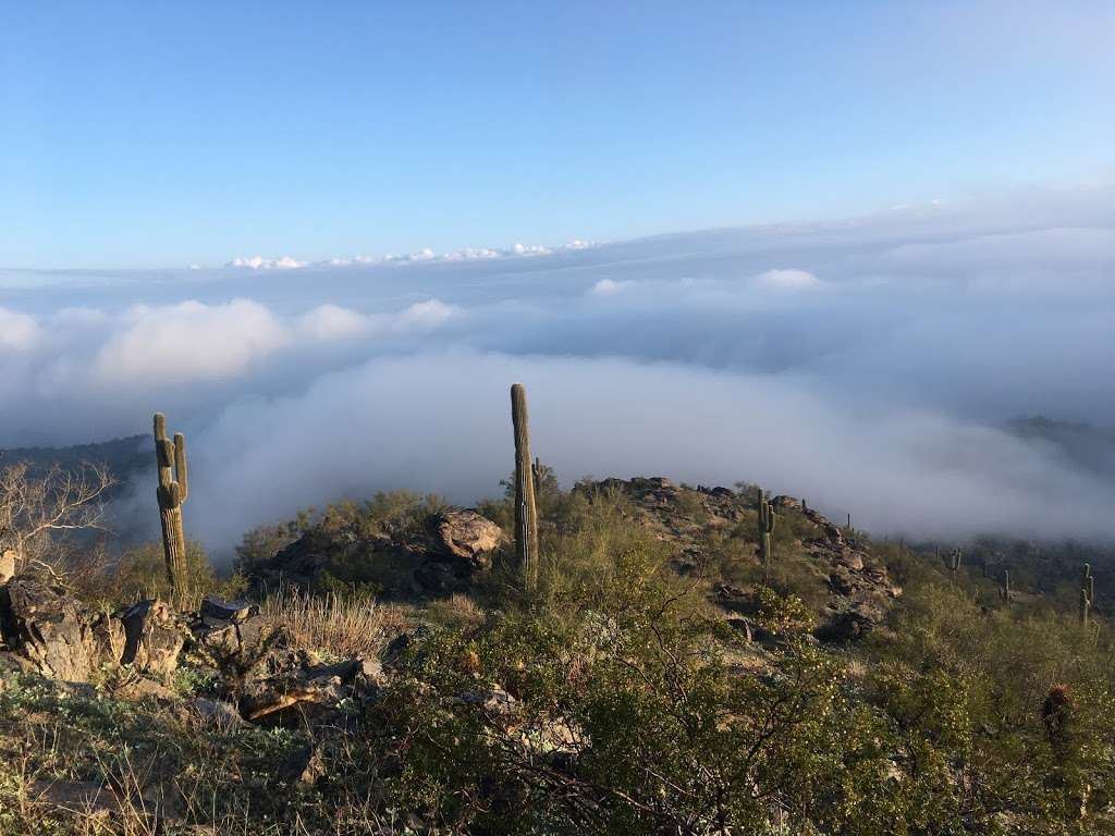 Observation Point | Scott Ridge Trail, Phoenix, AZ 85042, USA