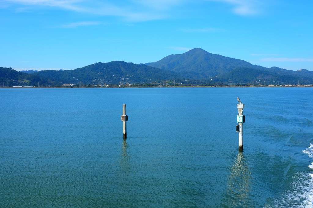 Larkspur Ferry Terminal | Larkspur, CA 94939