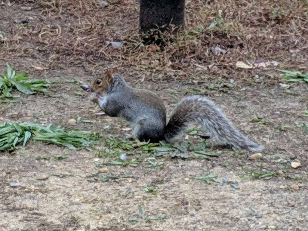 Haddon Lake Park. | Mt Ephraim, NJ 08059, USA