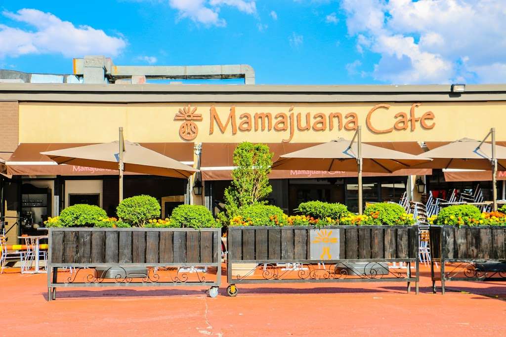 Mamajuana Cafe Queens | 33-15 56th St, Woodside, NY 11377, USA | Phone: (718) 565-6454