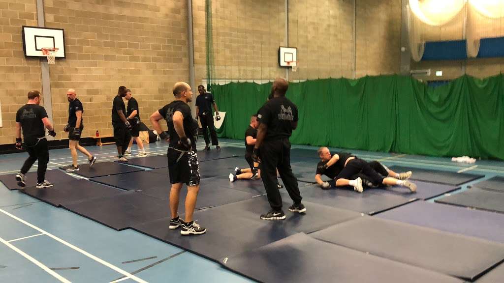Krav Maga London-Croydon Self defence classes | Harris Academy Purley, Kendra Hall Rd, South Croydon CR2 6DT, UK