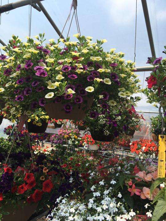 M & D Farms And Garden Center | 14946 S Bell Rd, Homer Glen, IL 60491, USA | Phone: (708) 935-1715