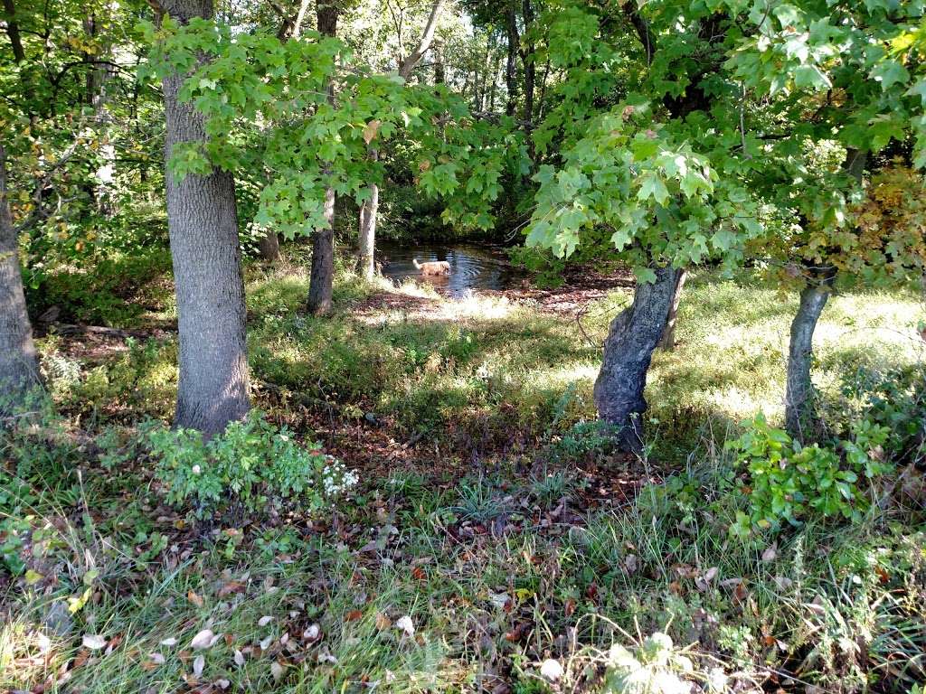 St. Michaels Farm Preserve | Hopewell, NJ 08525, USA