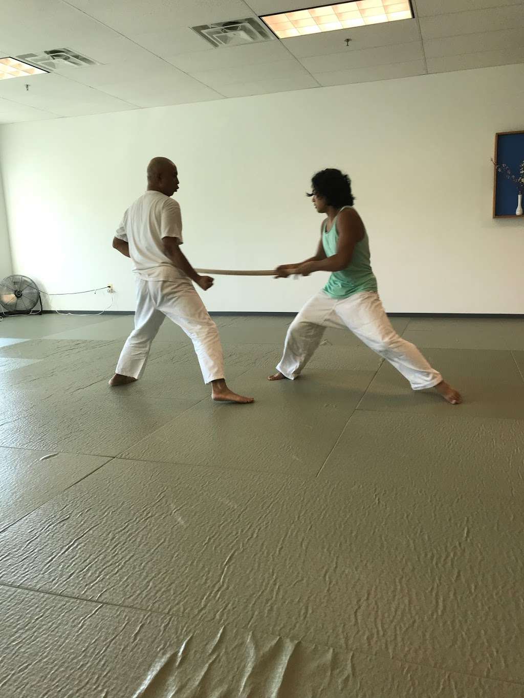 Potomac Aikikai (Aikido) | 21580 Atlantic Blvd #131, Sterling, VA 20166, USA | Phone: (571) 781-2454