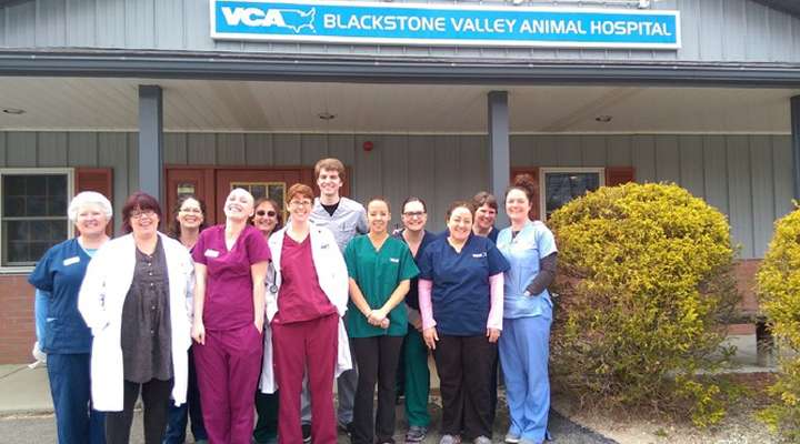 VCA Blackstone Valley Animal Hospital | 615 Douglas St, Uxbridge, MA 01569, USA | Phone: (508) 278-6581