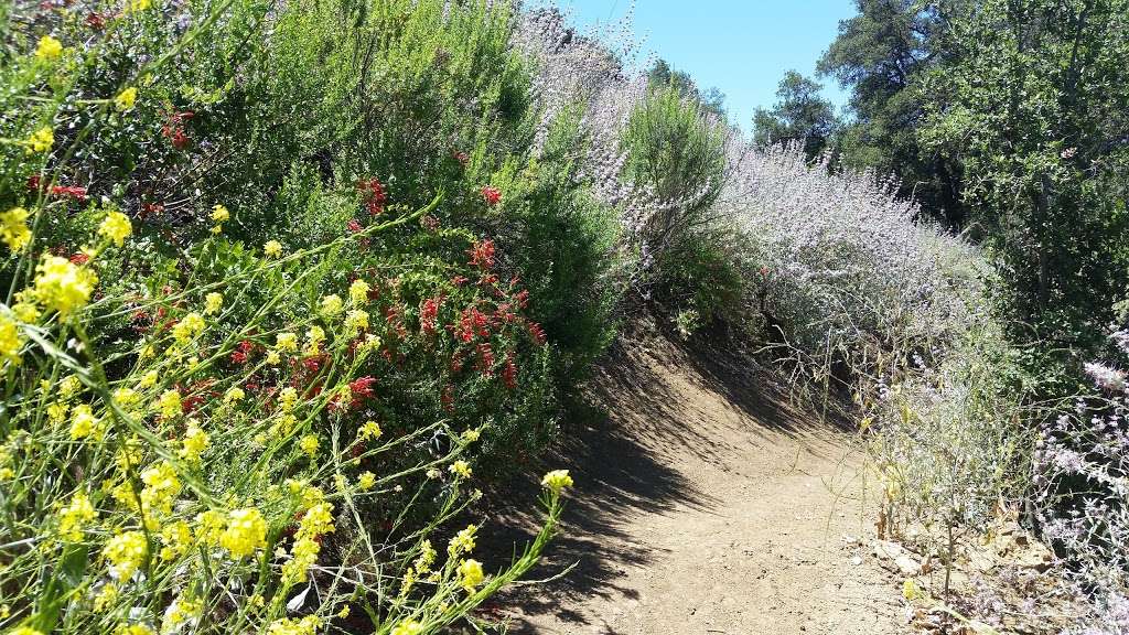 Backbone Trailhead | Backbone Trail, Malibu, CA 90265, USA | Phone: (805) 370-2301