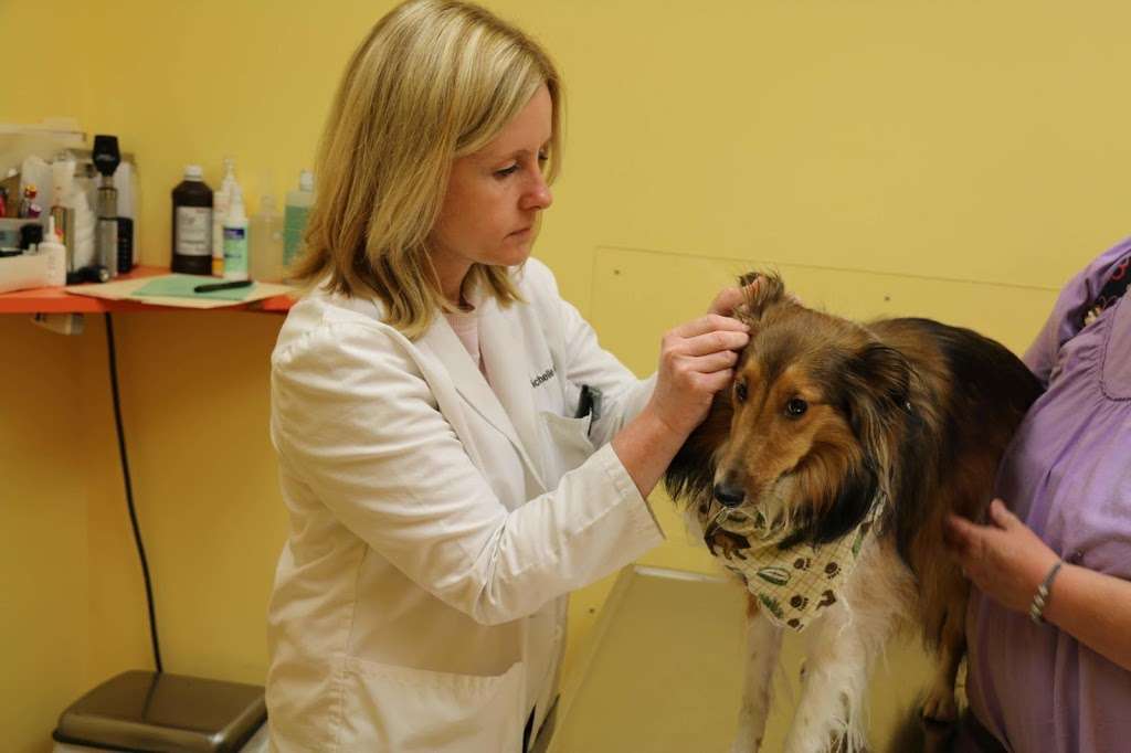 Tranquility Veterinary Clinic | 17 Kennedy Rd, Tranquility, NJ 07879, USA | Phone: (908) 852-7800