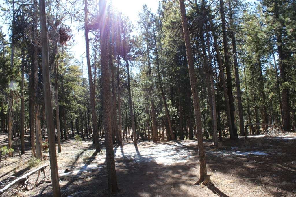 Flying J Ranch Park Trailhead | 9661 County Hwy 73, Conifer, CO 80433 | Phone: (303) 271-5925