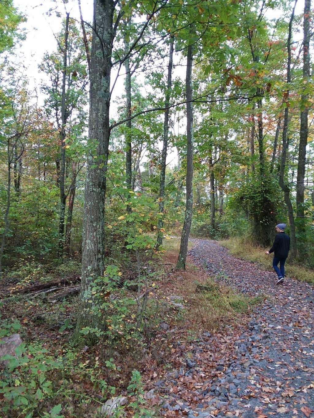 Mount Airy Red Rock Trailhead | Cresco, PA 18326, USA