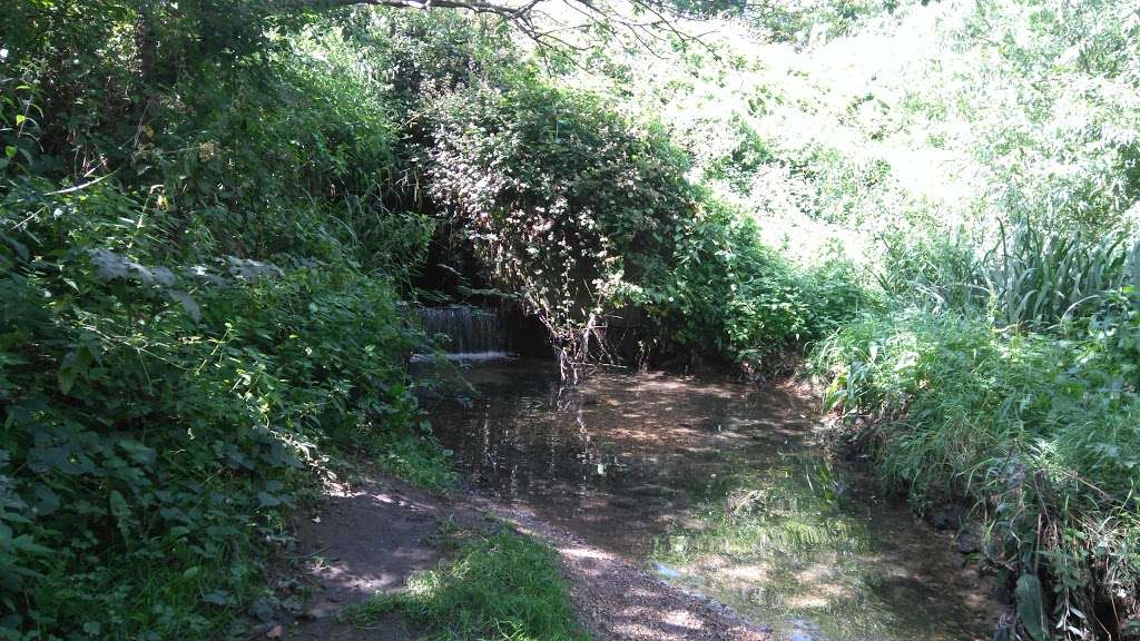 Hornchurch Country Park (Stop A) | Hornchurch RM12 6TJ, UK