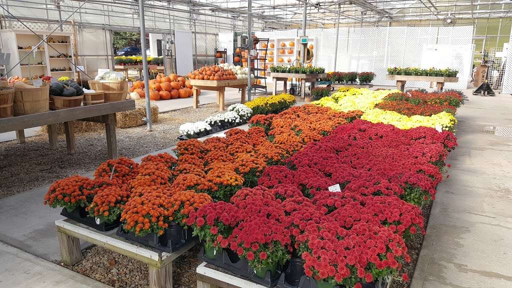 Sunny Valley Farms Amherst | 42 NH-101A, Amherst, NH 03031, USA | Phone: (603) 673-6160